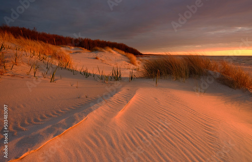 Obraz na płótnie Dunes on the coast of the Baltic Sea in the beautiful light of the setting sun w salonie