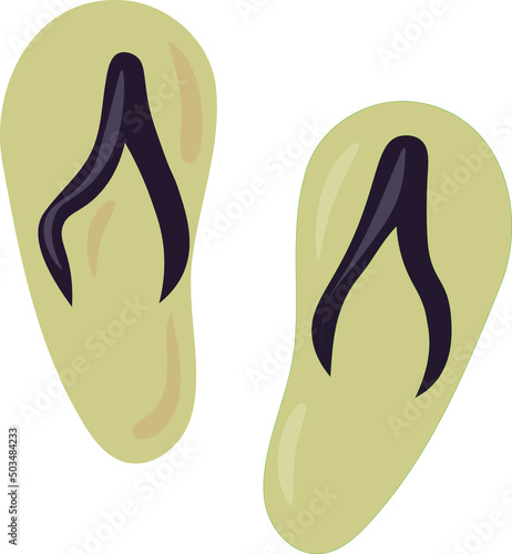 flip flops vector illustration