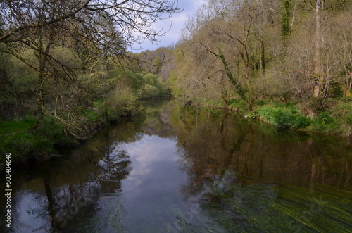 rivière © Alain