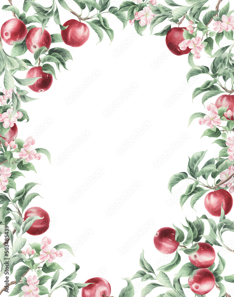 Frame of watercolor red apples isolated on a transparent background. Frame of watercolor red apples isolated on a transparent background.