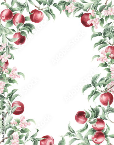 Frame of watercolor red apples isolated on a transparent background.