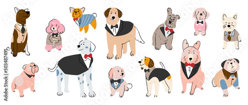 Set of cute dogs vector. Lovely dog and puppy doodle pattern in different poses, formal, tuxedo suits and breeds with flat color. Adorable pet characters hand drawn collection on white background.