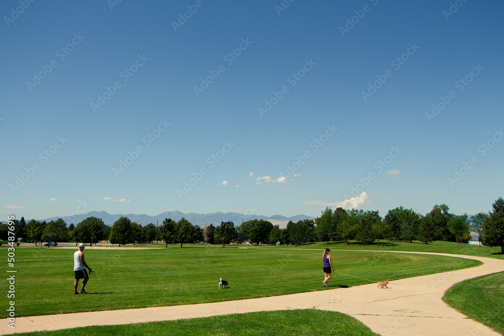 Obraz premium Utah Life