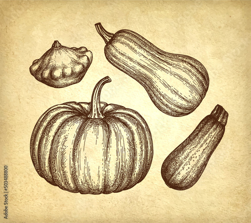 Squash and pumpkin set.