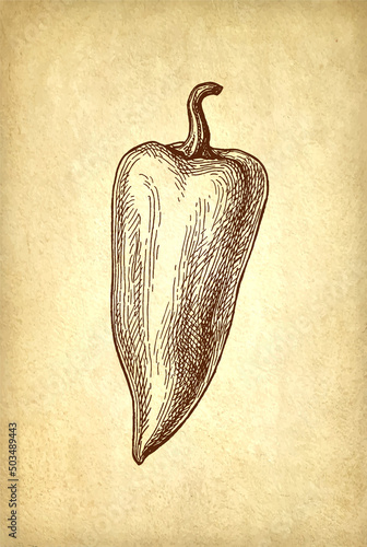 Long bell pepper.
