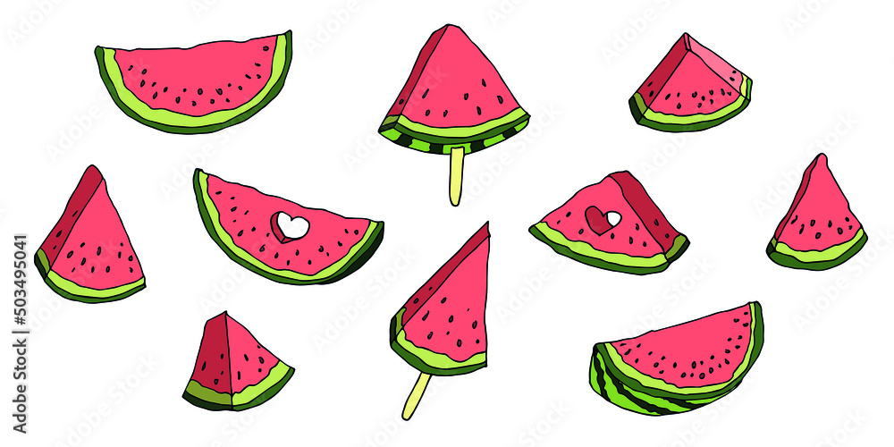 Vector watermelon clipart. Hand drawn watermelon icon set. Fruit illustration. For print, web, design, decor, logo.