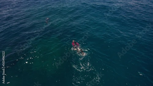 Wallpaper Mural Freedivers on a reef outside. Nova Vicosa in Bahia Brazil. Torontodigital.ca