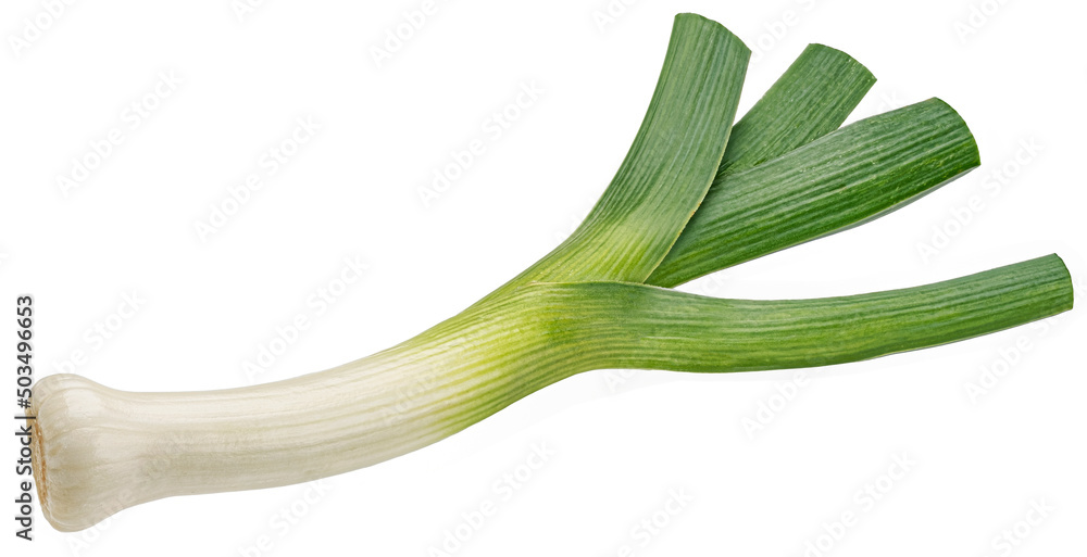 Leek isolated, green onion on white background, full depth of field Leek isolated, green onion on white background, full depth of field