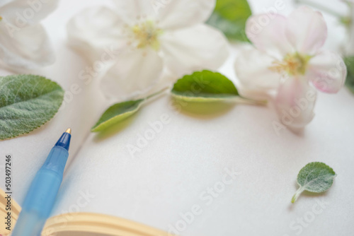 Closeup open book with blank sheets and a blue pen. Fresh apple flowers and green leaves on paper sheet.