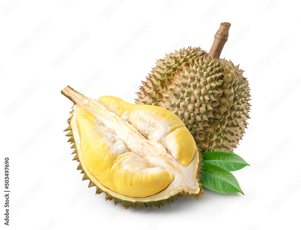 Fototapeta premium Durian fruit with cut in half and leaves isolated on white background.