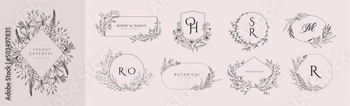 Set of wedding monogram, botanical floral branch and logo. Hand drawn wedding herb, homeplant with elegant leaves. Botanical rustic trendy greenery vector