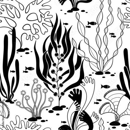 Hand drawing seaweed. Seamless vector pattern on the marine theme. Sea bottom. Ideal for the production of wrapping paper, textiles and fabrics.