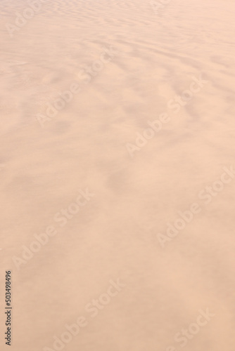 Wet sand background. Sand texture