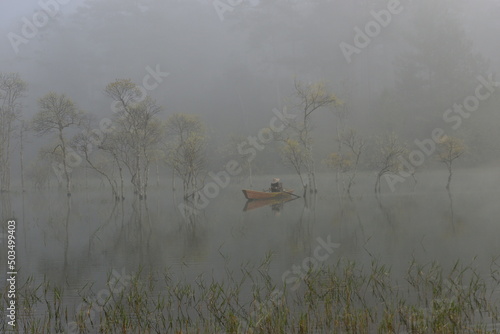 mist on the river