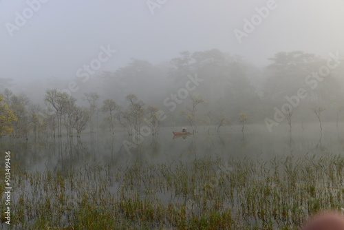 mist over the river