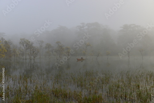 mist on the river