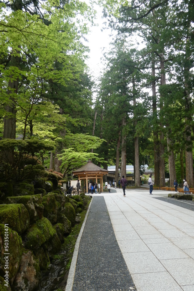Mountain Temple Mountain Temple