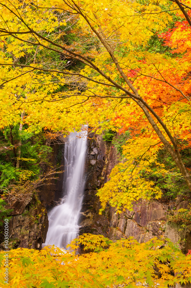 岐阜県中津川　夕森公園の銅穴の滝