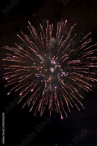 Independence day celebration. Colorful fireworks in the dark sky. Black background with copy space. 