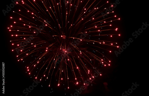 Firework display in the night sky. Beautiful celebration show. 