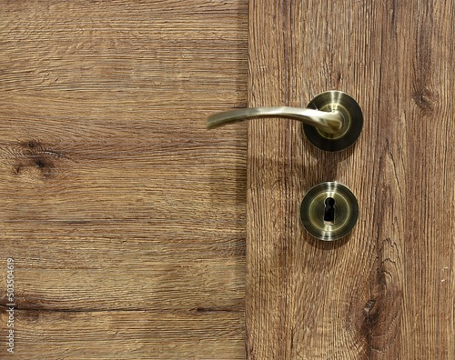 brass handle and door lock