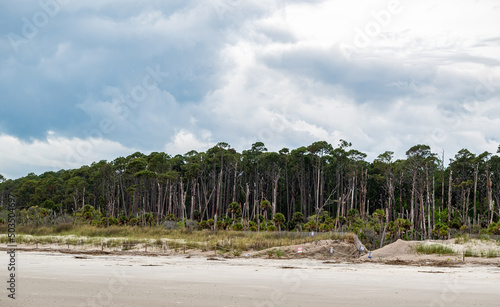 Thick pretty cloudsover South Carolina beach dunes and coast with pines and palm trees, Hunting Island