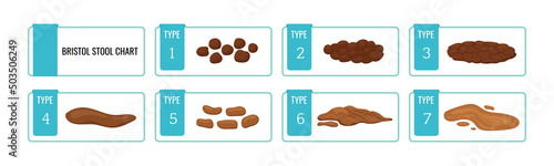 Bristol stool chart scale with faesces structure classification. Different type of poop excrement from constipation to diarrhea health indicator isolated on white. Flat design vector poo illustration