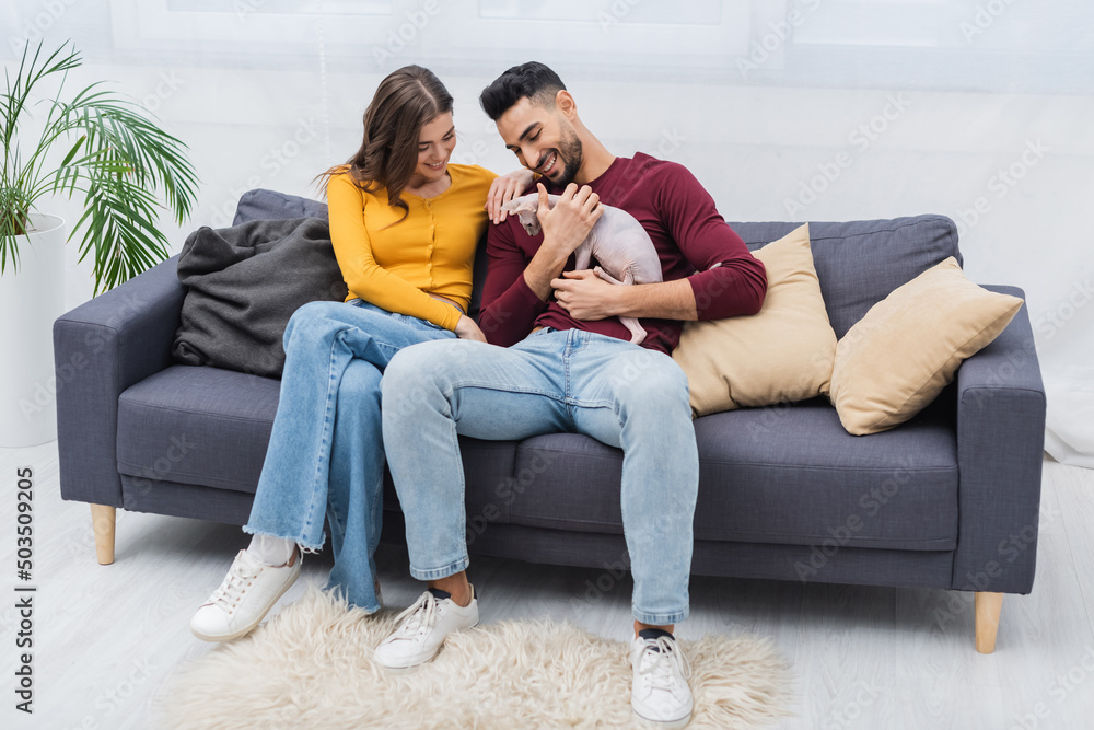 Smiling multiethnic couple looking at sphynx cat on couch.