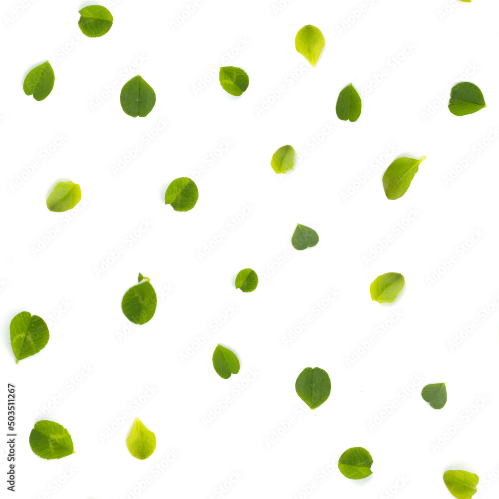 Repeatable pattern made with real flowers and plants on white background Repeatable pattern made with real flowers and plants on white background