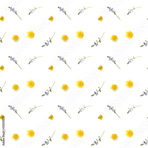 Repeatable pattern made with real flowers and plants on white background