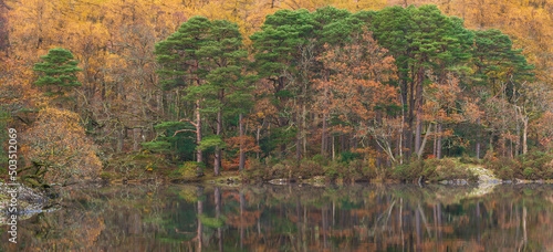 Beautiful Lake District forest landscape of Manesty Park during vibrant Autumn Fall colors scene photo