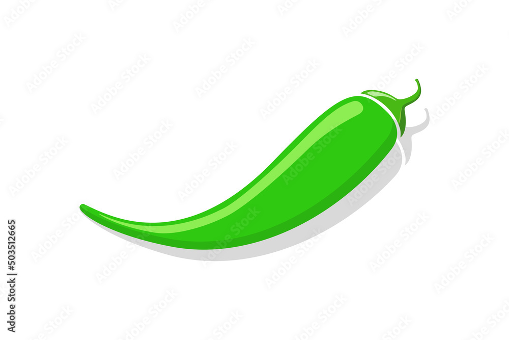 Green pepper. Green mild chili. Cayenne paprika. Pepper icon with shadow isolated on white background. Mild hot spicy chili. Illustration of vegetable. Food logo. Vector