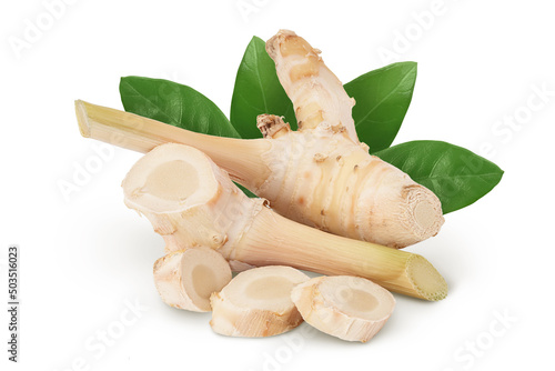Fresh galangal root with slices isolated on white background with clipping path and full depth of field.
