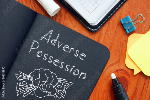 Принти на полотні Adverse Possession is shown using the text