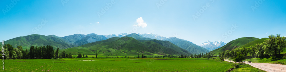Panorama of spring green meadows in the mountains on a sunny day.