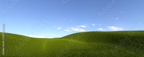 3d rendering image of a green field of grass and a bright blue sky. 