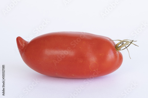 Tomate andine cornue	
 photo