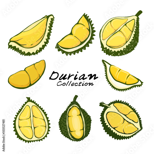 set of durian fruit