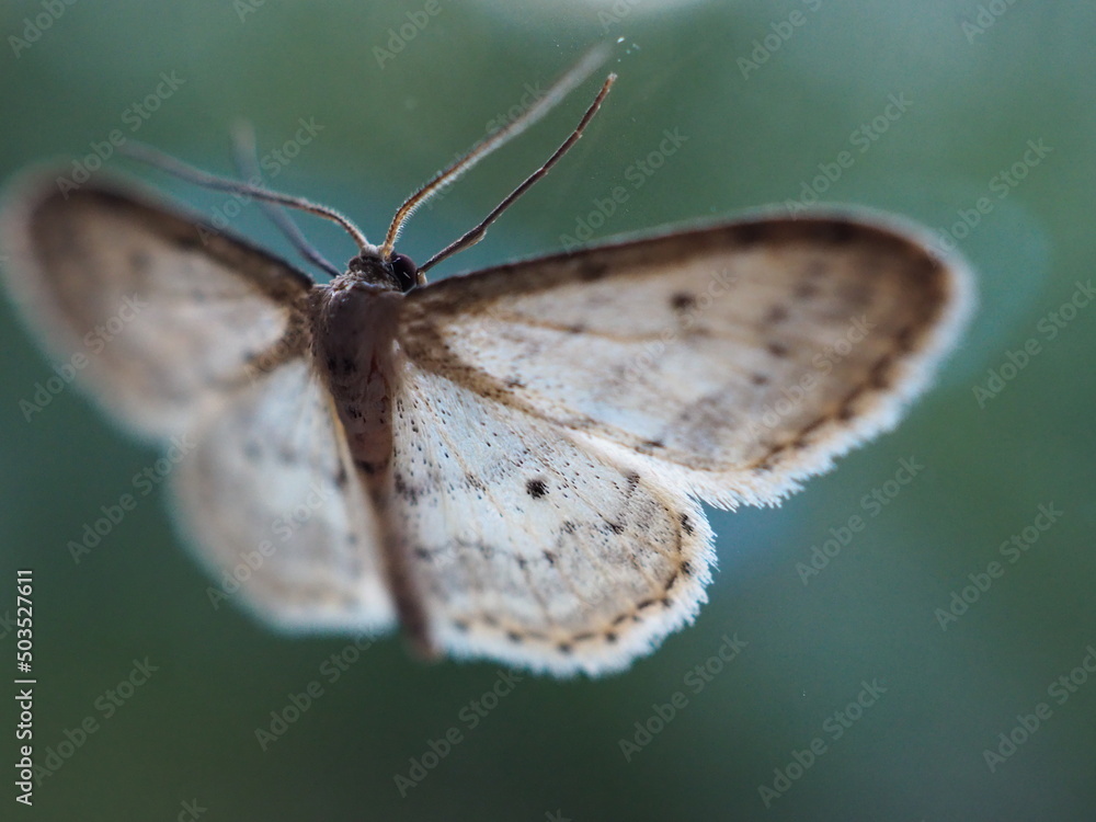 Obraz premium OLYMPUS DIGITAL CAMERA