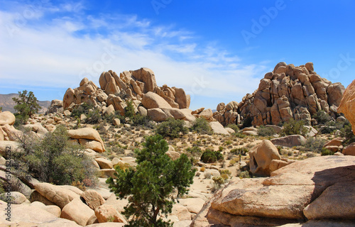Panoramic view of rocky hills in Joshua Tree National Park on a sunny day
