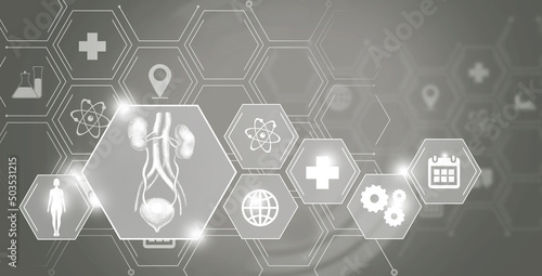 Graphic illustration of bladder organ marked by hexagon molecule. Healthcare concept background with medical icons. photo