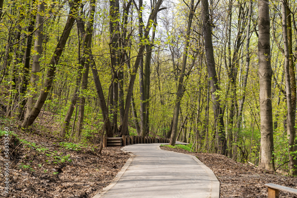 Obraz premium A concrete winding path going down and into the distance, in a spring park. Trees without leaves, brown, fallen leaves