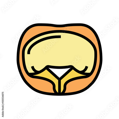 tortellini pasta color icon vector. tortellini pasta sign. isolated symbol illustration