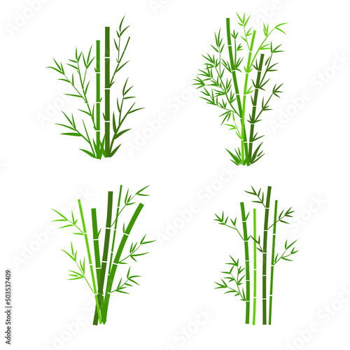 Valokuvatapetti Vector illustration of bamboos on a white background