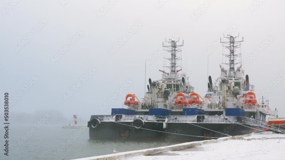 Towboats are in seaport. Pushboats floating in harbor, port. Shoalbusters moored at wharf. Tugboats are at quay in fog. Marine landscape with tugs, ships near seashore, ripple on water surface Towboats are in seaport. Pushboats floating in harbor, port. Shoalbusters moored at wharf. Tugboats are at quay in fog. Marine landscape with tugs, ships near seashore, ripple on water surface