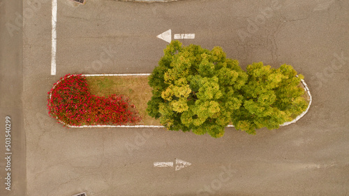 Aerial shot of a floral road median in a parking lot entrance in the daylight
