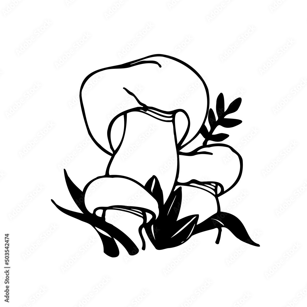 Porcini mushrooms. Large edible mushrooms. Black and white vector image of mushrooms in the forest. Porcini mushrooms. Large edible mushrooms. Black and white vector image of mushrooms in the forest.