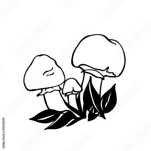 Boletus. Large edible mushrooms. Black and white vector image of mushrooms in the forest.