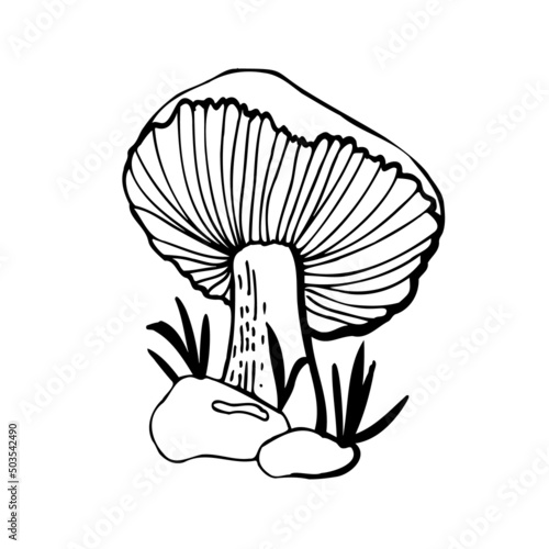 Edible russula mushroom. Stylish graphic image for postcards, design, packaging, coloring.