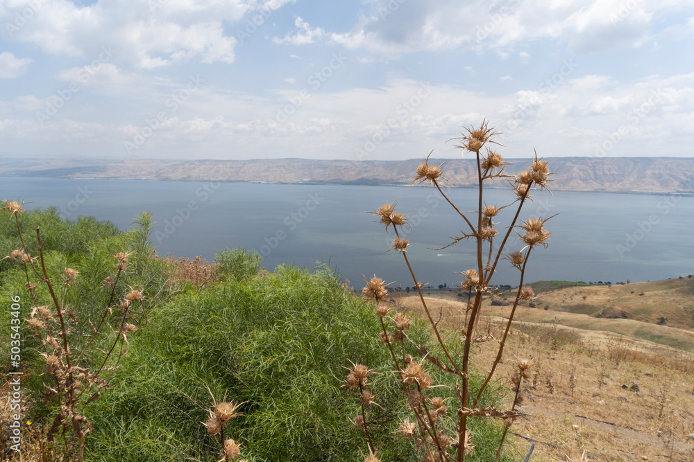 View of the Sea of Galilee and the Golan Heights View of the Sea of Galilee and the Golan Heights